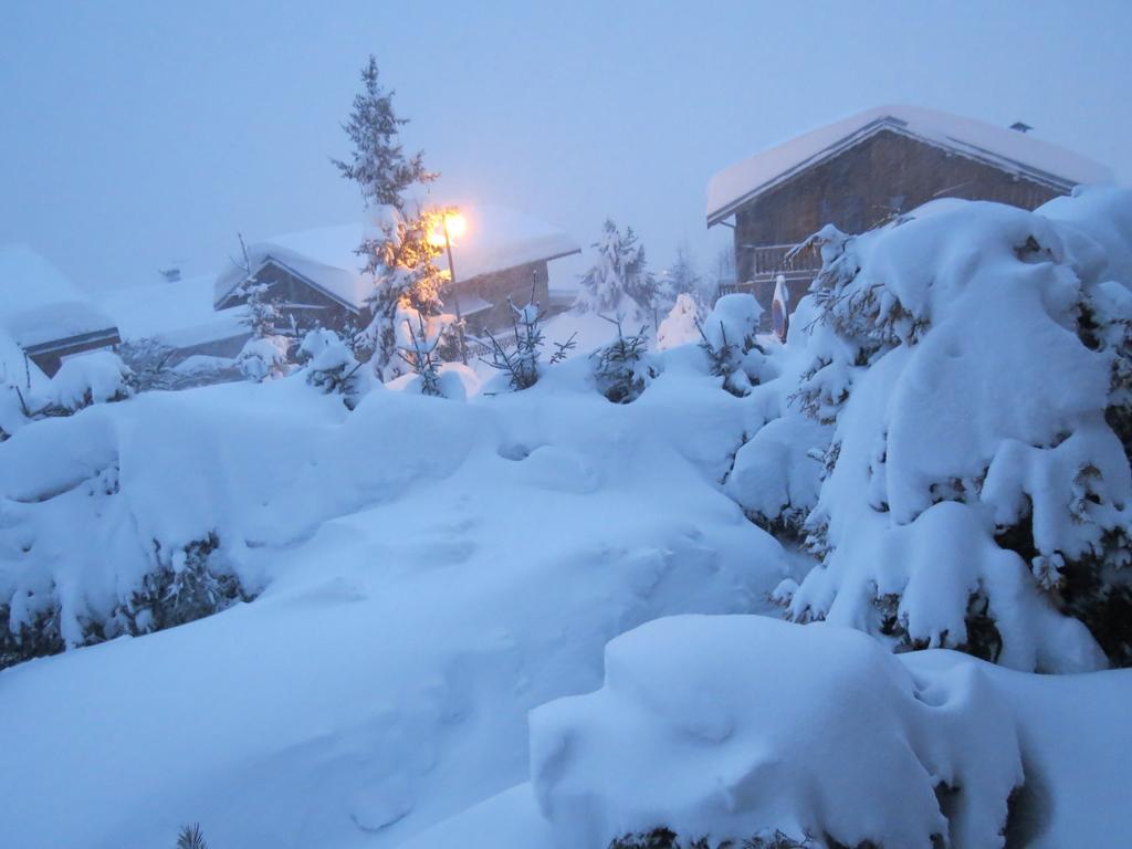 לה פלאנייה Hotel Ancolie - Champagny En Vanoise מראה חיצוני תמונה